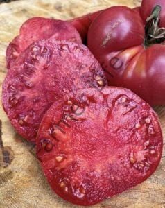 Bulgar Pembesi Domates Fidesi 6 Adet