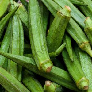 Sultani Bamya Fidesi 6 Adet