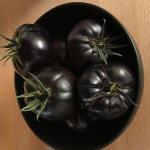 Black Beauty Siyah Domates Fidesi 6 Adet