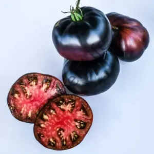 Black Beauty Siyah Domates Fidesi 6 Adet