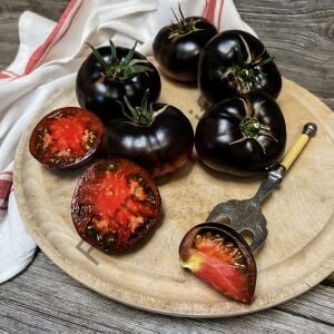 Black Beauty Siyah Domates Fidesi 6 Adet