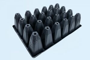 24 GÖZ FİDELİK DERİN (AĞAÇ FİDAN VİYOLÜ) 5 Adet