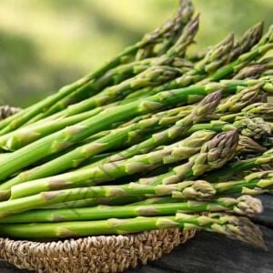 Kuşkonmaz (Asparagus) Tohumu (50 Tohum)