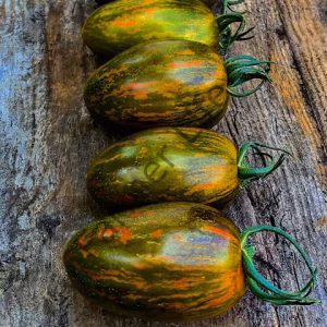 Brad's Atomic Grape Domates Fidesi 6 Adet