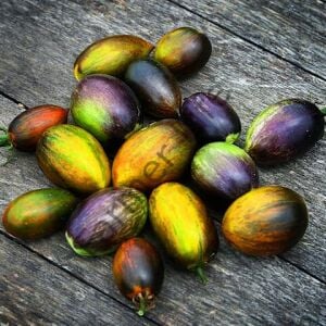 Brad's Atomic Grape Domates Fidesi 6 Adet