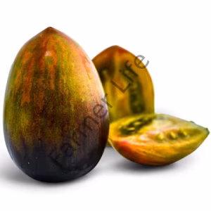 Brad's Atomic Grape Domates Fidesi 6 Adet