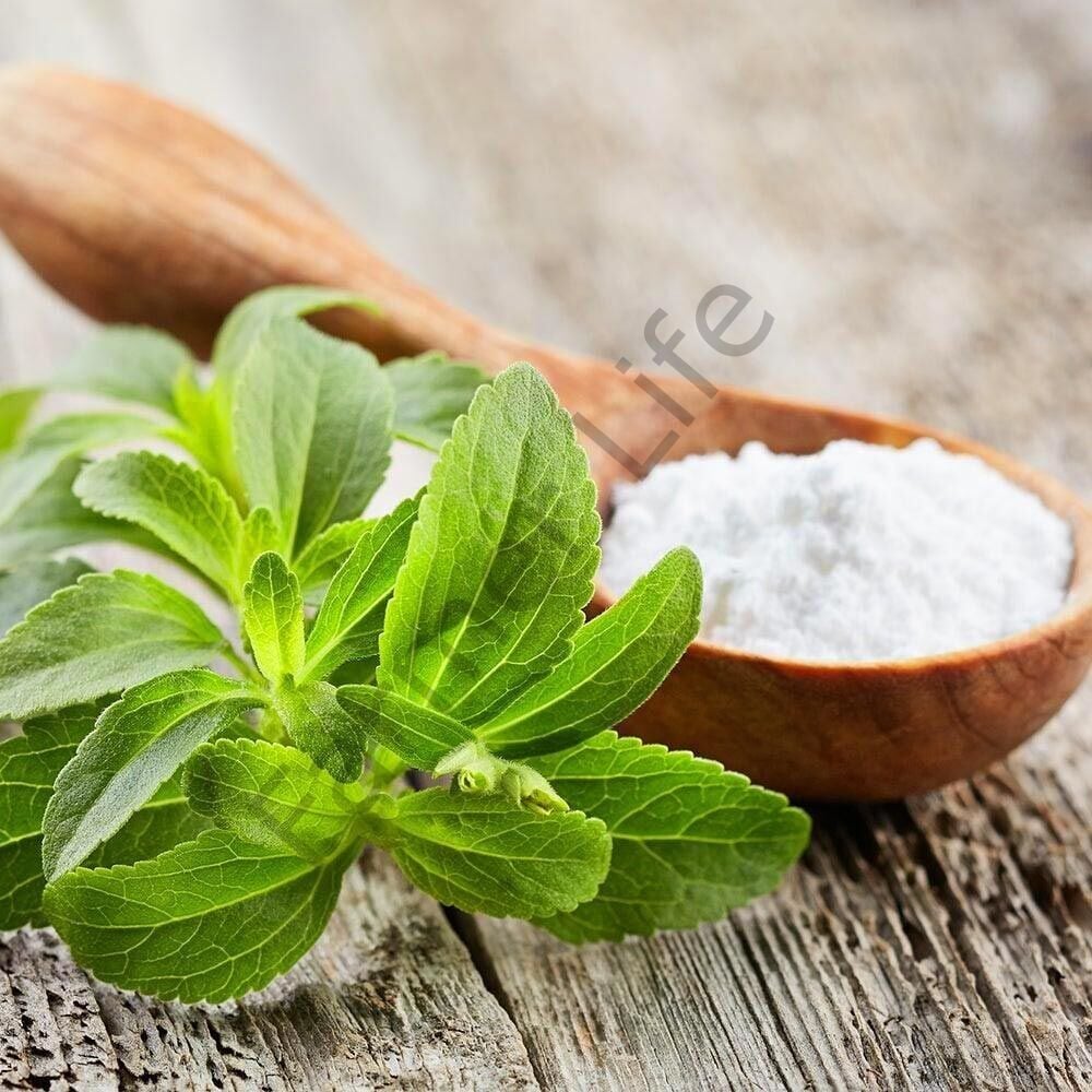 Stevia Şeker Otu Fidesi 6 Adet