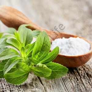 Stevia Şeker Otu Fidesi 6 Adet