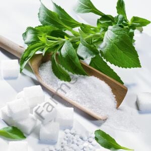 Stevia Şeker Otu Fidesi 6 Adet