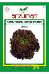 Kırmızı Kıvırcık Marul Tohumu 1000 Adet