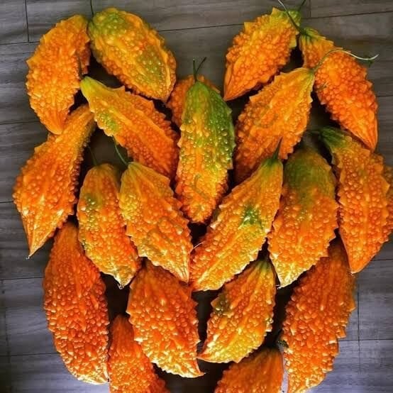 Kudret Narı Fidesi 6 Adet