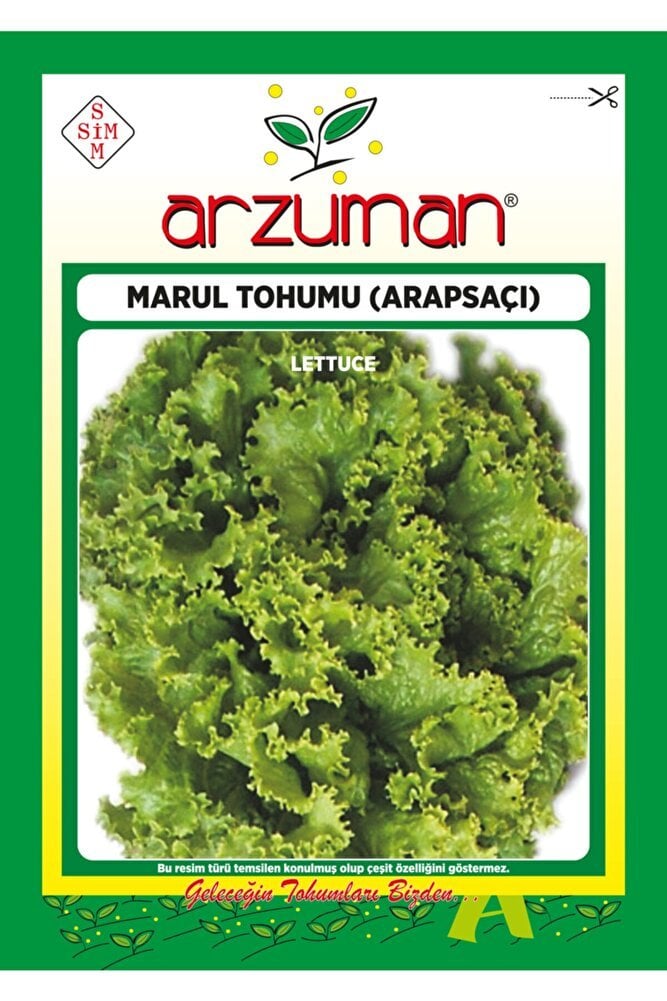 Arapsaçı Kıvırcık Marul Tohumu 10 Gr