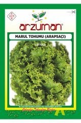 Arapsaçı Kıvırcık Marul Tohumu 10 Gr