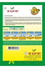 Arapsaçı Kıvırcık Marul Tohumu 10 Gr