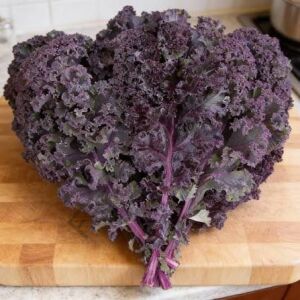 Mor Kıvırcık Lahana (Kale) Tohumu (20 Tohum)