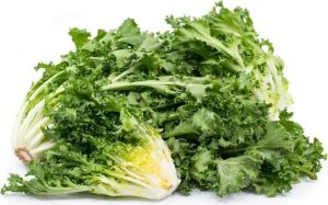 Rhodos Endive Tohumu (30 Tohum)