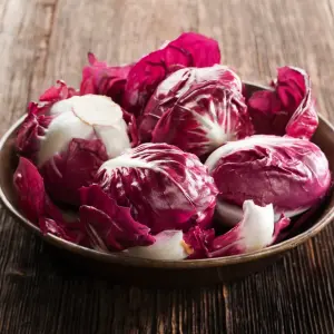 Radicchio Rosso Kırmızı Hindiba Tohumu (30 Tohum)