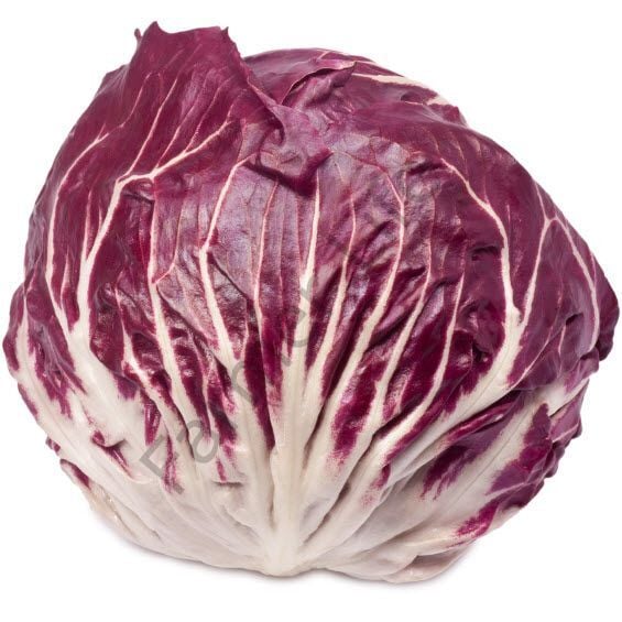 Radicchio Rosso Kırmızı Hindiba Tohumu (30 Tohum)