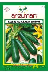 Siyah Kabak Tohumu 10 gr