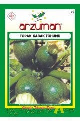 Topak Kabak Tohumu 10 Gr