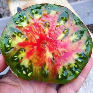 Ananas Noire (Siyah Ananas) domates Tohumu (10 Tohum)