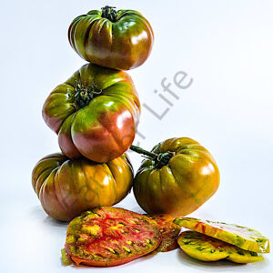Ananas Noire (Siyah Ananas) domates Tohumu (10 Tohum)