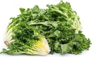 Rhodos Endive Fidesi 6 Adet