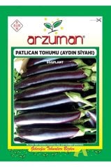 Patlıcan Tohumu (10 Gr) Aydın Siyahı