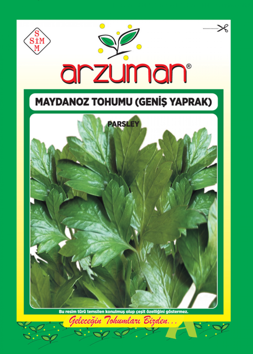 Maydanoz Tohumu Geniş Yaprak 25 gr