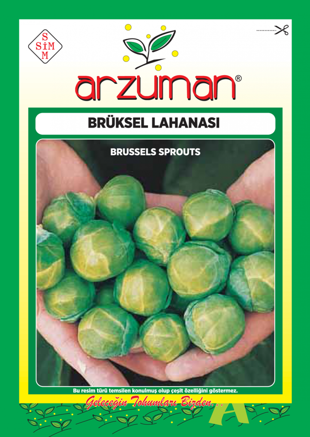 Brüksel Lahanası Tohumu