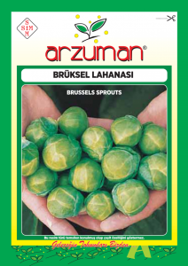 Brüksel Lahanası Tohumu