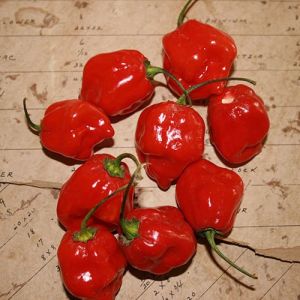 Kırmızı Renk Habanero Acı biber Tohumu (10 Tohum)