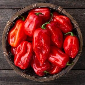 Kırmızı Renk Habanero Acı biber Tohumu (10 Tohum)