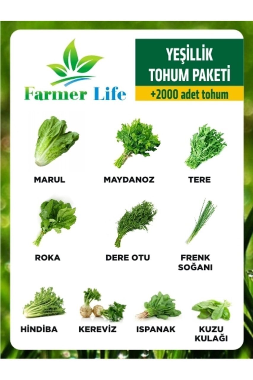 10 Çeşit Hobi Yeşillik Seti