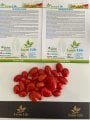 Cherry Şeker Domates Tohumu (10 Tohum)