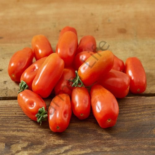 Cherry Şeker Domates Tohumu (10 Tohum)