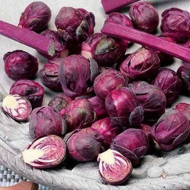 Yediveren Mor Brüksel Lahanası Tohumu (20 Tohum)