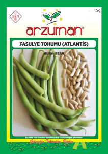 Fasulye Tohumu Atlantis (Kırk Günlük) 50gr
