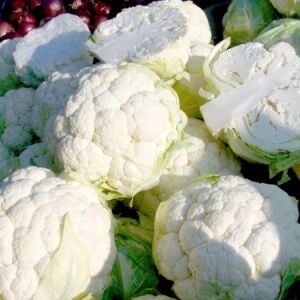 Karnabahar Fidesi 6 Adet