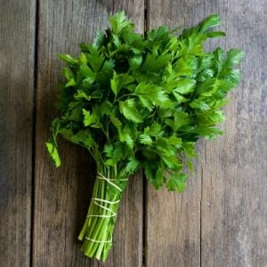 Geniş Yaprak Maydanoz Fidesi 12 Adet