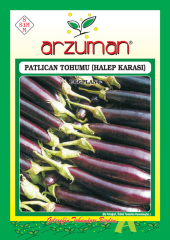 Halep Karası Patlıcan Tohumu 10 Gr