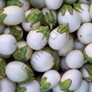 Beyaz Yumurta Patlıcan Tohumu (10 Tohum)