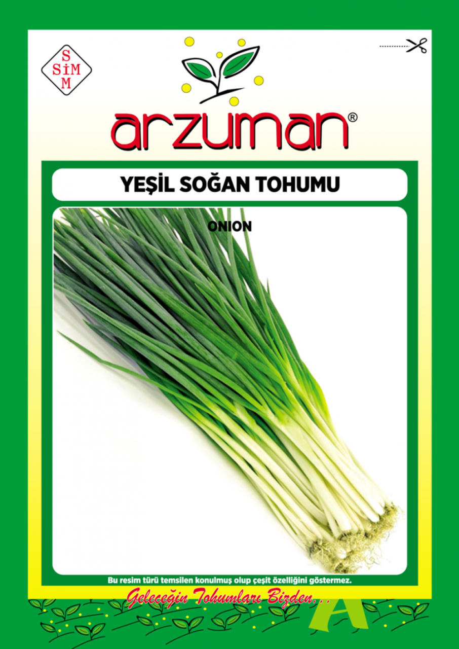 Yeşil Soğan Tohumu 10 Gr