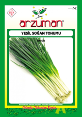 Yeşil Soğan Tohumu 10 Gr