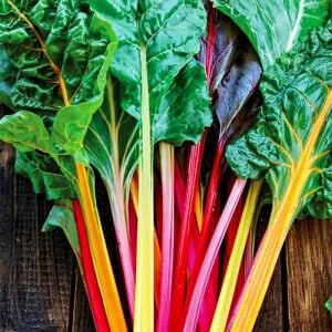 Karışık Renkli Pazı Tohumu (50 Tohum)