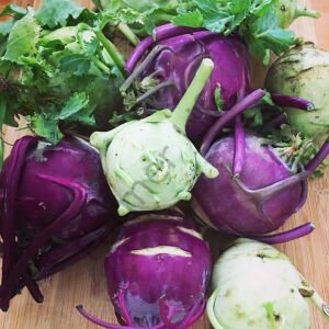 Kış Sebzeleri Hobi Fide Seti