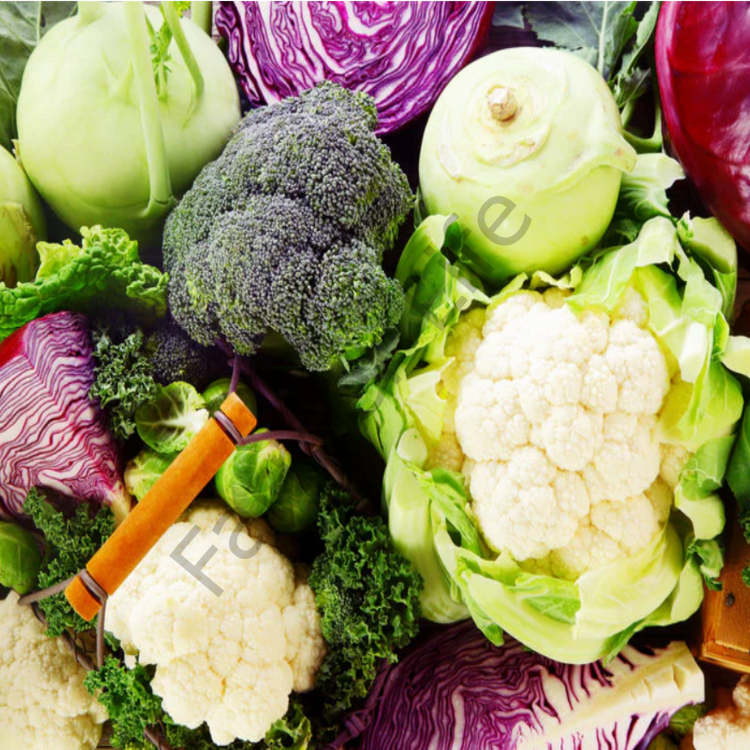 Kış Sebzeleri Hobi Fide Seti