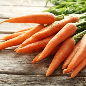 Kış Sebzeleri Hobi Fide Seti