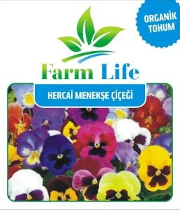 Yenilebilir Hercai Menekşe Çiçeği Tohumu 50 Adet