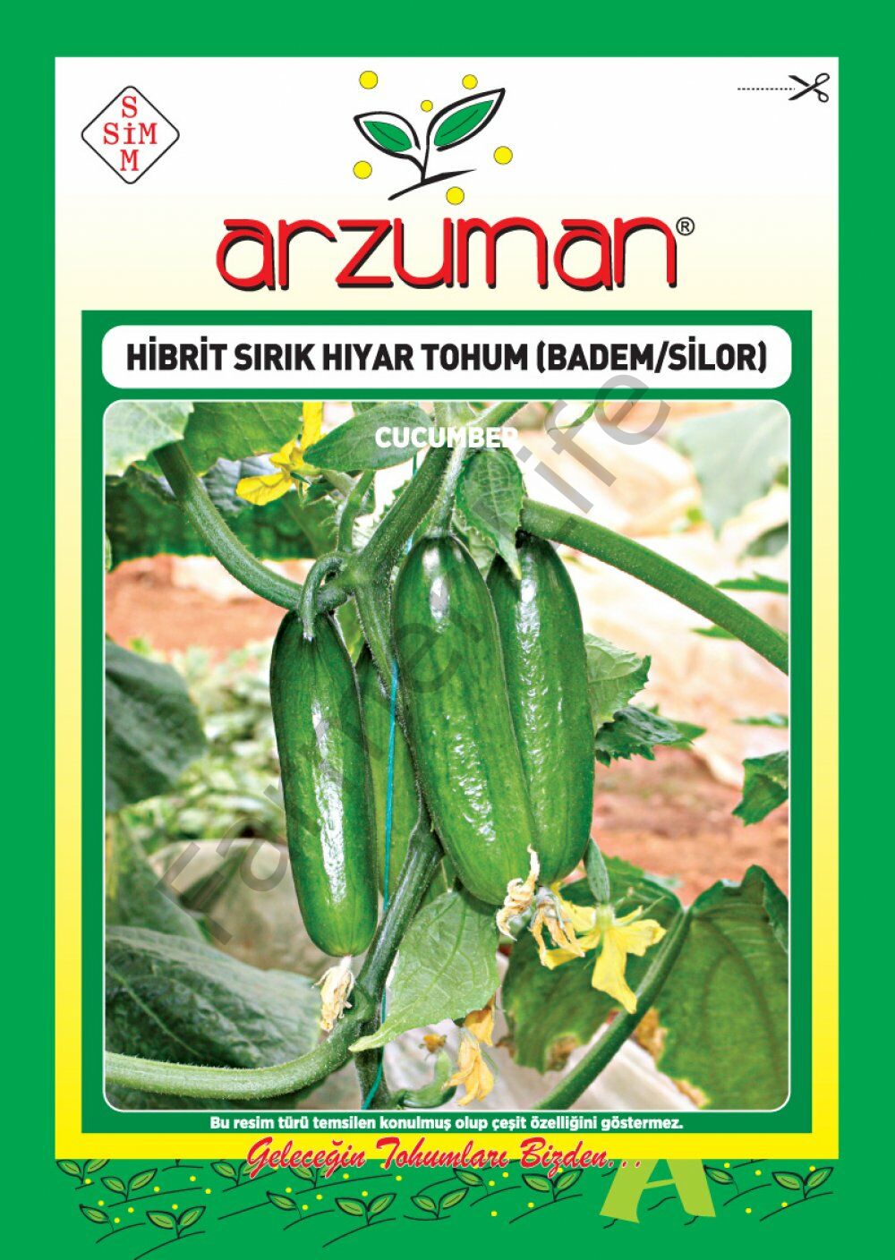 Hıyar Tohumu ﻿Silor F1 Sırık
